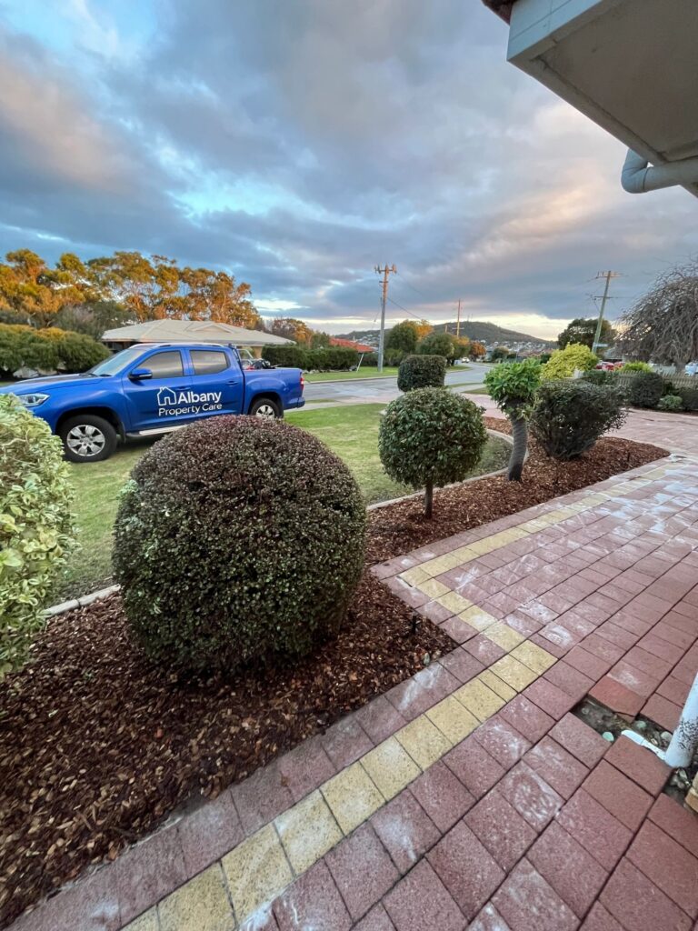 Hedge Trimming Albany WA