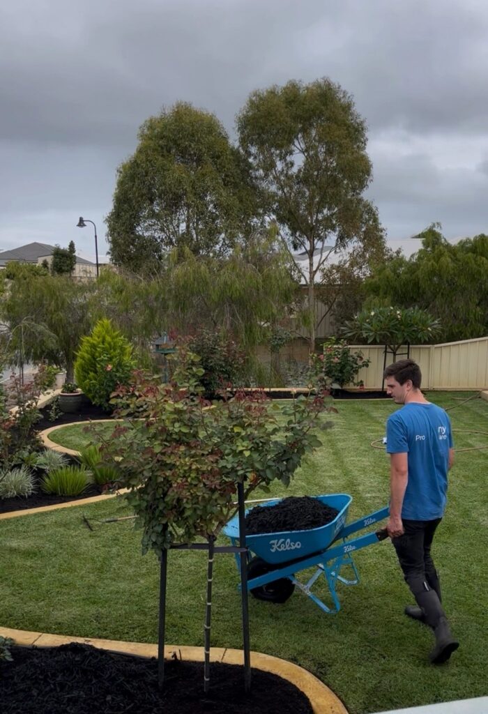 Lawn Mowing & Yard Clean-Ups Albany WA